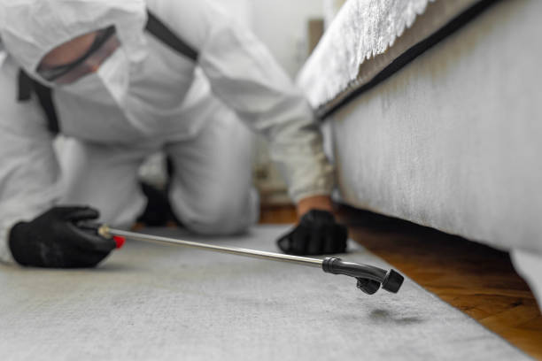 Professional Termite Control technician working in Tensas Parish County, LA